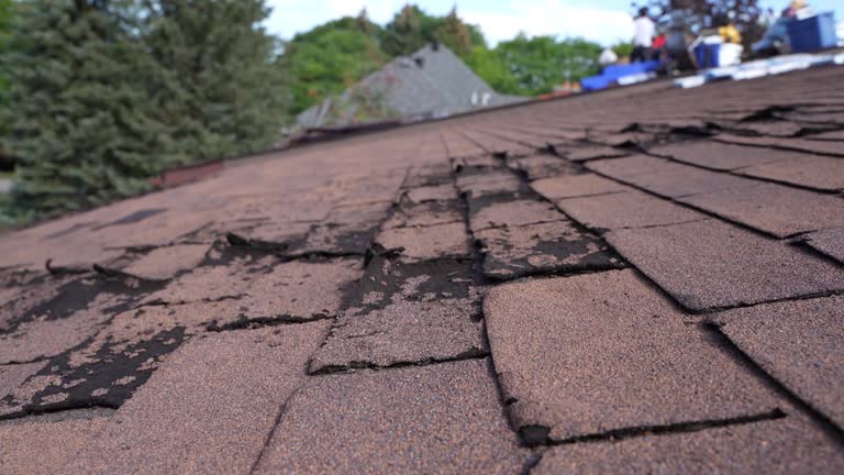 Best Roof Replacement  in Stamps, AR