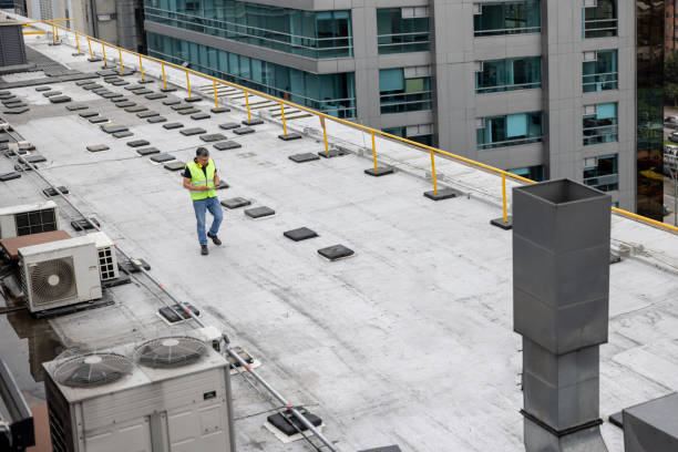Best Solar Panel Roofing Installation  in Stamps, AR