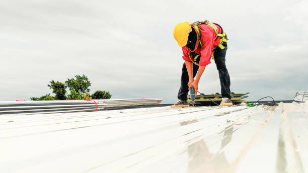 Best Roof Maintenance and Cleaning  in Stamps, AR